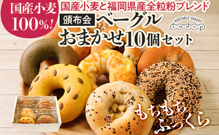 【頒布会】ベーグルおまかせ10個セット（月1回／全3回） ベーグル パン 詰め合わせ セット 冷凍  ご当地グルメ 福岡 九州 お土産 取り寄せ グルメ 福岡土産 食べ物 朝食 お取り寄せ ご当地 福岡県 食品 特産品 田川市