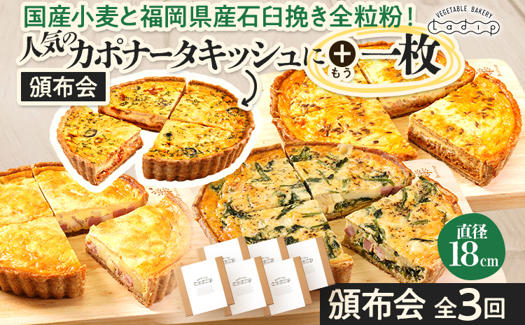 【頒布会/全3回/贅沢キッシュ】人気のカポナータキッシュにもう1枚 キッシュ お取り寄せグルメ ご当地グルメ お取り寄せ グルメ 食べ物 取り寄せ 福岡 九州 お土産 福岡土産 ご当地 食品 福岡県 田川市 冷凍食品 特産品