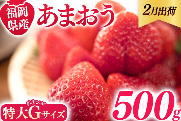 福岡県産 あまおう 500g （250g×2パック） いちご 2月中発送 いちご 苺 フルーツ 果物 くだもの 大粒Gサイズ グランデ 農家直送 大粒 不揃い 福岡県 福岡 九州 グルメ お取り寄せ