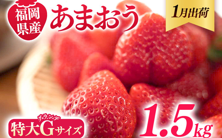福岡県産 あまおう 1500g （250g×6パック） いちご 1月中発送 いちご 苺 フルーツ 果物 くだもの 大粒Gサイズ グランデ 農家直送 大粒 不揃い 福岡県 福岡 九州 グルメ お取り寄せ