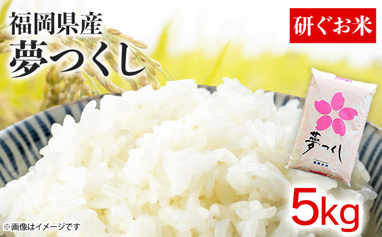 福岡県産夢つくし【研ぐお米】５kg 米 福岡県 福岡 九州 グルメ お取り寄せ 食品 お土産 ご当地グルメ 福岡土産