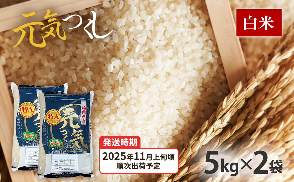 令和7年産　福岡県産ブランド米「元気つくし」白米10kg【11月上旬頃より順次出荷予定】