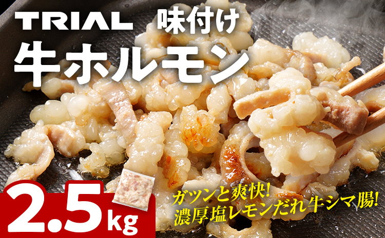 牛肉 ホルモン シマチョウ シマ腸 しま腸 味付け牛ホルモン 2.5kg 味付き 味付き肉レモン 塩レモン 塩レモンだれ 冷凍 簡単調理 惣菜 おかず おつまみ 酒のつまみ 酒の肴