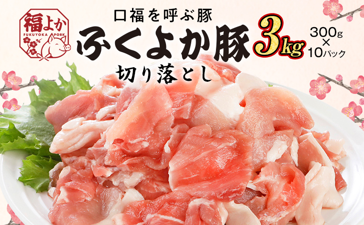 豚肉 ふくよか豚 切り落とし ふくよか豚切り落とし 3.0kg（300g×10パック） モモ ウデ モモ肉 ウデ肉 小分け 真空パック ブタ肉 ぶた肉 生姜焼き 焼きそば 豚汁 冷凍 福岡県 福岡 九州 グルメ お取り寄せ