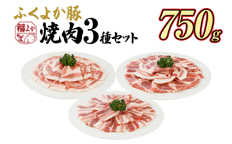 豚肉 焼肉 ふくよか豚 焼肉3種セット 750g ロース 肩ロース バラ ロース肉 肩ロース肉 バラ肉 小分け ブタ肉 ぶた肉 生姜焼き 豚丼 冷凍 福岡県 福岡 九州 グルメ お取り寄せ