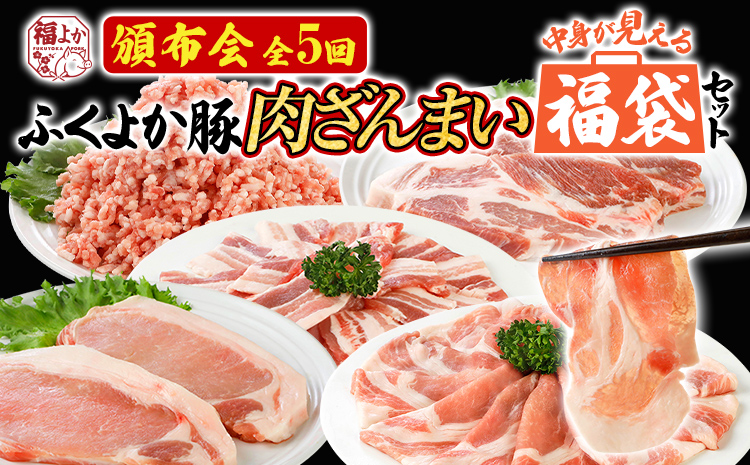 【頒布会】福袋 豚肉 しゃぶしゃぶ 焼肉 切り落とし ステーキ ふくよか豚 定期便 豚肉ざんまいセット ロース 肩ロース バラ ミンチ 肩ロース 小分け ブタ肉 ぶた肉 冷凍 福岡県 福岡 九州 グルメ お取り寄せ