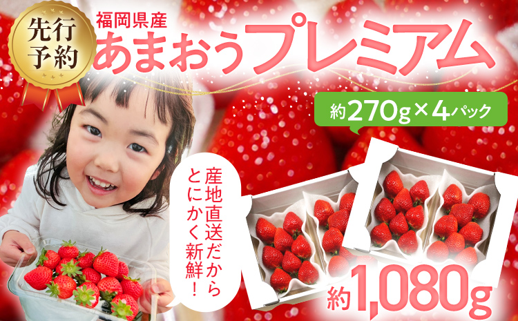 【先行予約/2026年】あまおうプレミアム 約270g×4パック《2026年2月以降順次発送》 農家直送 あまおう いちご 苺  フルーツ お取り寄せグルメ お取り寄せ 福岡 お土産 九州  福岡土産 取り寄せ グルメ  福岡県 【北海道・沖縄・離島への配送不可】