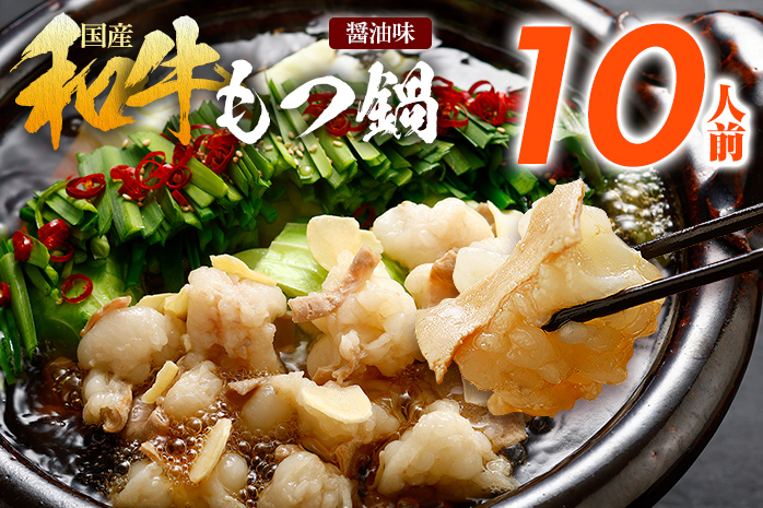 訳あり もつ鍋 醤油味 10人前 国産牛小腸