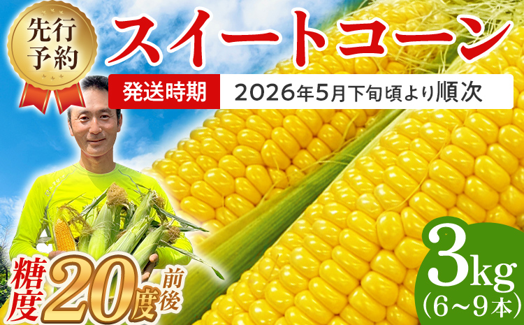 とうもろこし スイートコーン 3kg（6~9本）野菜 コーン スーパースイートコーン 採れたて 糖度20度 【2026年5月下旬頃より順次発送予定】