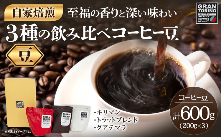 GRAN TORINO 200g×3種類 コーヒー 豆 キリマン トラッドブレンド グアテマラ 3種 飲み比べ セット 計600g 自家焙煎 珈琲豆 ドリンク 飲料 福岡県 福岡 九州 お取り寄せ