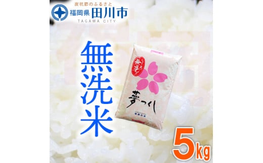 福岡県産夢つくし 無洗米 5kg×1