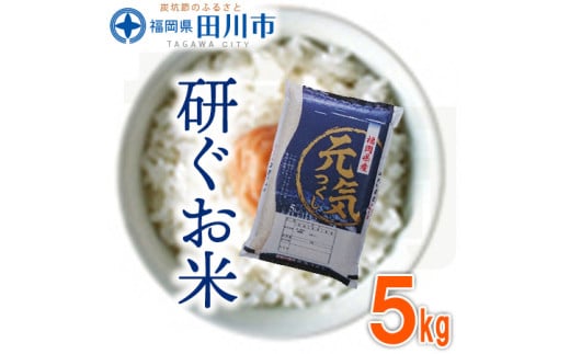 福岡県産元気つくし 5kg×1