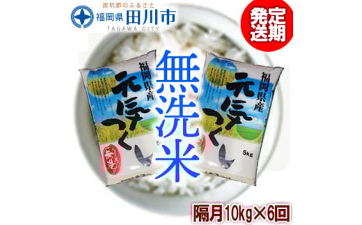 【定期便/隔月】福岡県産元気つくし 無洗米 10kg×6回 お取り寄せグルメ　お取り寄せ 福岡 お土産 九州 ご当地グルメ 福岡土産 取り寄せ グルメ 福岡県 食品