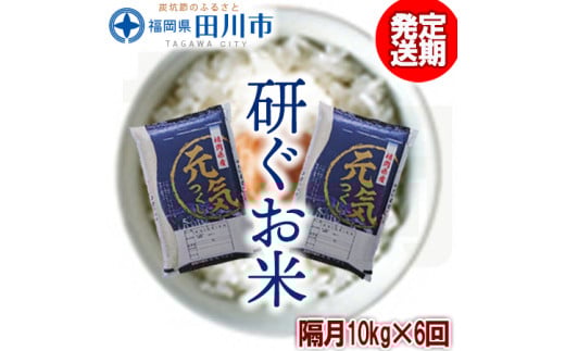 【定期便/隔月】福岡県産元気つくし 10kg×6回 お取り寄せグルメ　お取り寄せ 福岡 お土産 九州 ご当地グルメ 福岡土産 取り寄せ グルメ 福岡県 食品