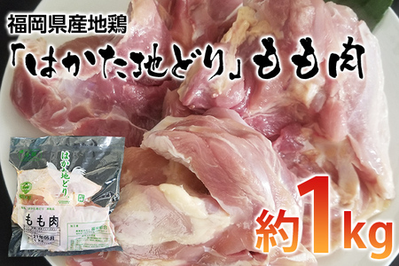 福岡県産地鶏「はかた地どり」もも肉（約1ｋｇ）