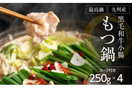 最高級「九州産黒毛和牛小腸 もつ鍋」1kg（250g×4）