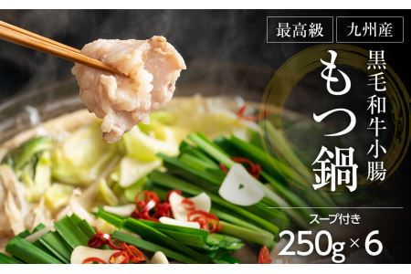 最高級「九州産黒毛和牛小腸 もつ鍋」1.5kg（250g×6）