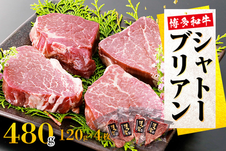 博多和牛シャトーブリアン　480g