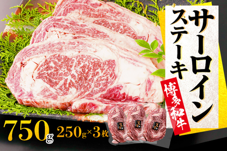 博多和牛　サーロインステーキ　750g