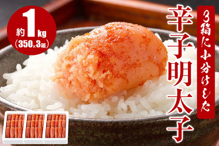 3箱に小分けした辛子明太子350g×3箱(計1.05kg)