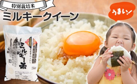 [令和5年産]特別栽培米ミルキークイーン5kg