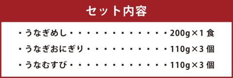 柳川 極味逸品うなぎめしとうなぎおにぎりのセット 鰻めし 鰻 おにぎり
