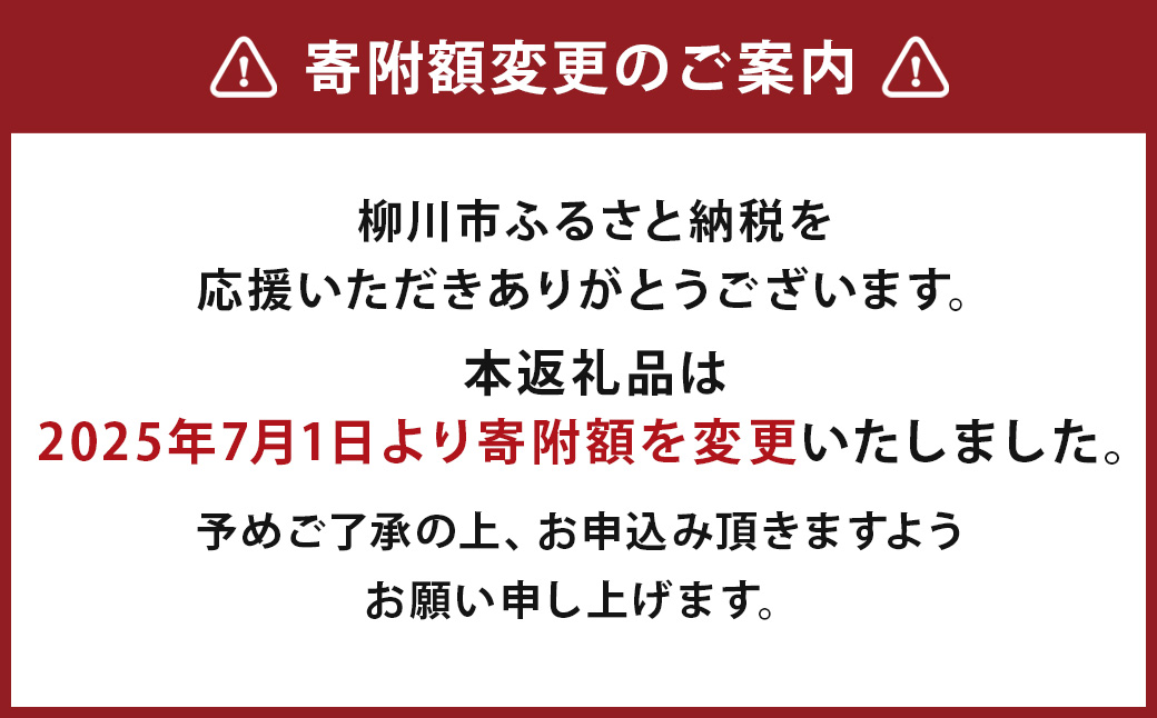 柳川海苔本舗 ワケアリ 焼のり セット【合計129枚】 海苔 焼海苔 のり 板のり 塩のり 訳あり