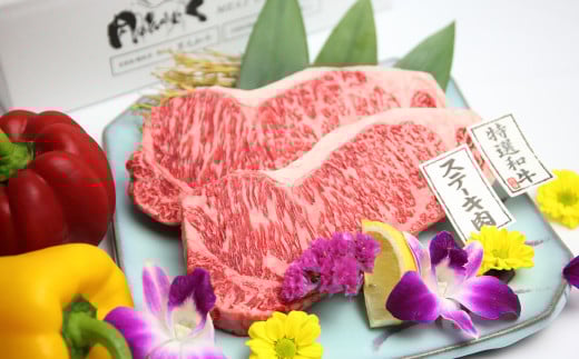 【4回定期便】ステーキ三昧！！ 黒毛和牛 ヒレステーキ ＆ 黒毛和牛 サーロインステーキ セット 合計3.6kg