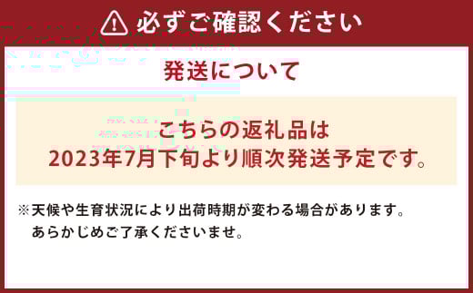【事前受付】【2023年7月下旬発送開始】マンゴー (2個入り) 約700g