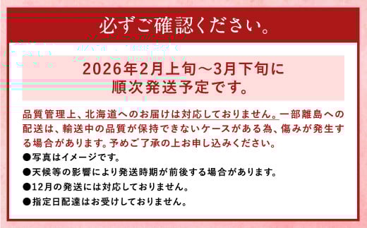 あまおう 等級DX 約280g×2パック 計約560g