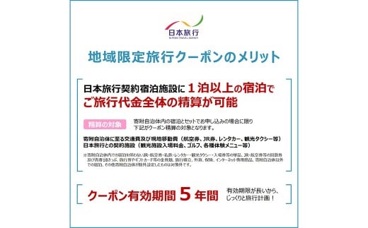 福岡県柳川市 日本旅行 地域限定旅行クーポン30,000円分（30,000円分×1枚）