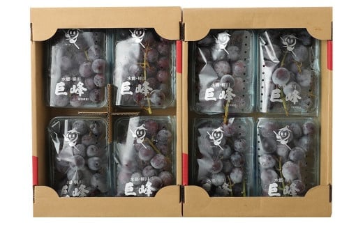 巨峰 300g×4パック 合計約1.2kg