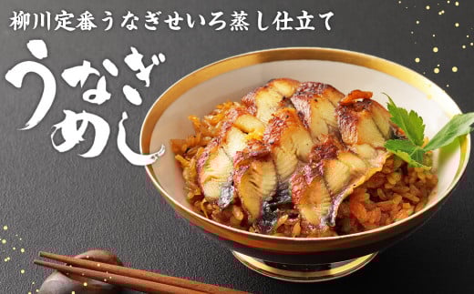 うなぎ尽くし 湯引き（刺身）とうなぎめしセット うなぎ 湯引き 刺身 1尾 170～200g うなぎめし 250g×2個