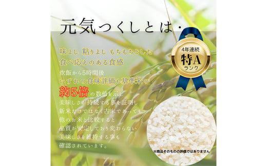 【柳川のお米】 元気つくし 4kg タカラの味わい 麦茶 52パック セット