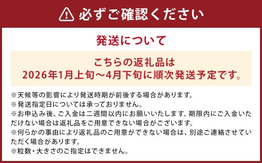 あまおう ギフト BOX 約30g×8個×2パック 計約480g