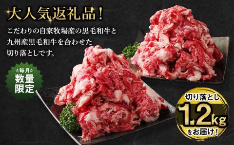 【2022年4月以降発送分】【ハンバーグ付き】 自家牧場産黒毛和牛×九州産黒毛和牛 切り落とし 合計1.4kg