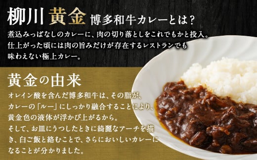 柳川黄金博多和牛カレー 200g×4箱 合計4人前