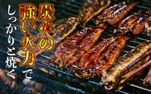 【3ヶ月定期便】 創業300年 うなぎ 料理 専門店 元祖 本吉屋 特製 国産 うなぎ の 丼ぶり（2人前） 国産鰻 鰻 うなぎ蒲焼き うな重 ひつまぶし ウナギ 蒲焼 蒸し焼き せいろ蒸し せいろむし 冷凍