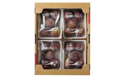 いちじく 400g×4パック 合計約1.6kg