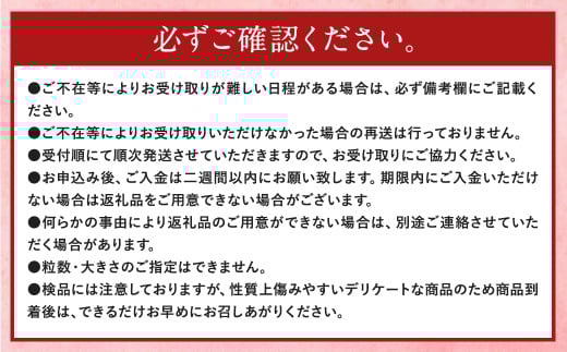 あまおう 等級DX 約280g×2パック 計約560g