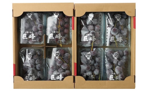 巨峰 300g×8パック 合計約2.4kg