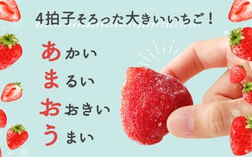 冷凍あまおう1.5kg（750g×2パック）