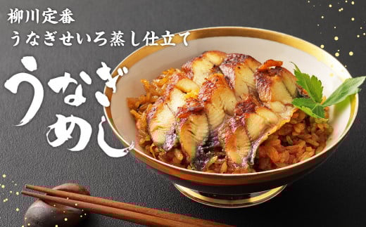 うなぎ尽くし 蒲焼きとうなぎめしセット うなぎ 蒲焼き 1尾 170～200g うなぎめし 250g×2個