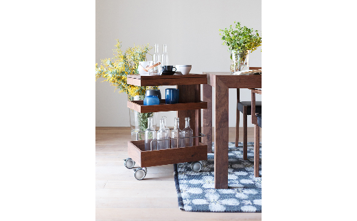 【N32-001】CARAMELLA Wagon