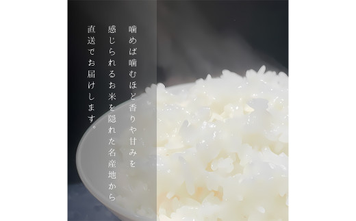 【柳川のお米】 元気つくし 4kg タカラの味わい 麦茶 52パック セット