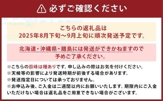 巨峰 300g×4パック 合計約1.2kg