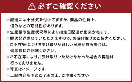 【事前受付】【2023年7月下旬発送開始】マンゴー (3個入り)  約700g