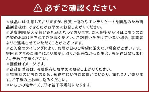 あまおう ギフト BOX 約30g×8個×2パック 計約480g