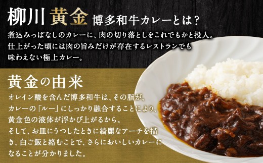 柳川黄金博多和牛カレー 1食分（200g）【TVで話題!!】 柳川 黄金 博多 和牛 カレー お肉 肉 牛肉 カレーライス ルー 黄金カレー 国産 200g 1箱