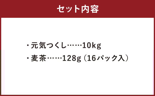 【柳川のお米】 元気つくし 10kg と 麦茶 16パック